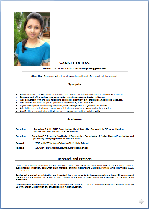 Sample resume pdf format